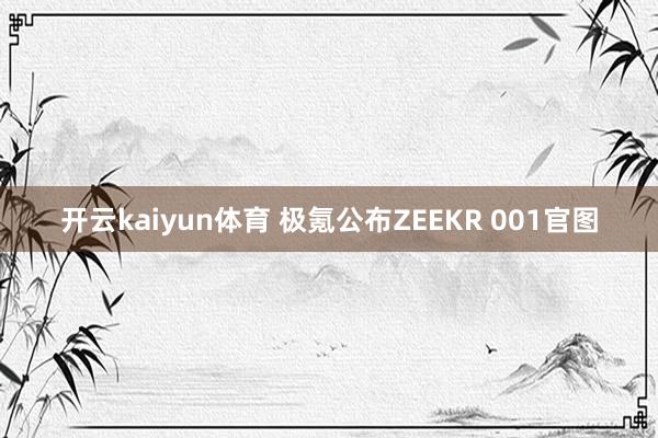 开云kaiyun体育 极氪公布ZEEKR 001官图