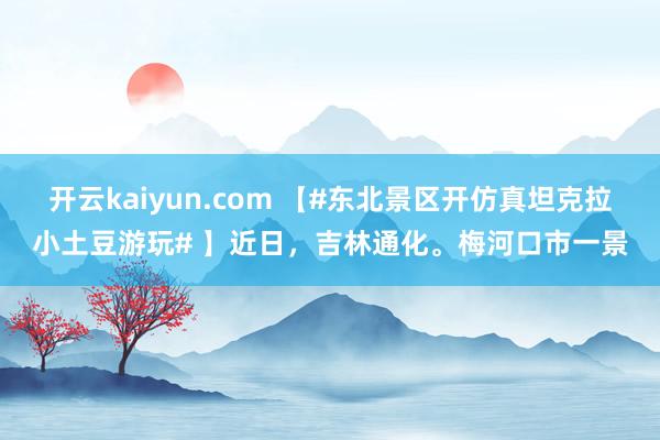 开云kaiyun.com 【#东北景区开仿真坦克拉小土豆游玩# 】近日，吉林通化。梅河口市一景