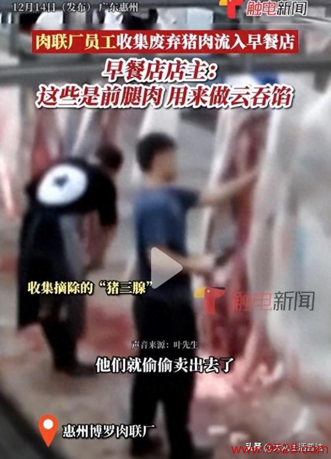 出售消除猪肉涉事厂家已破产 两名责任主说念主员被造访