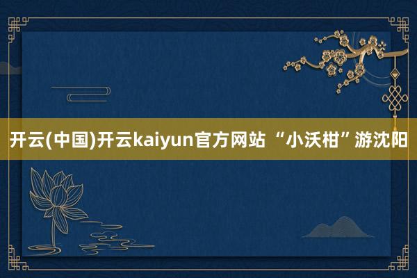 开云(中国)开云kaiyun官方网站 “小沃柑”游沈阳