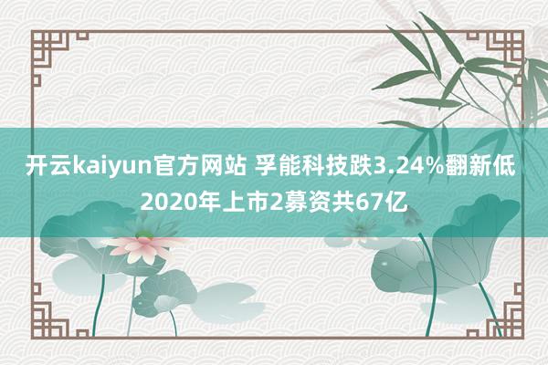 开云kaiyun官方网站 孚能科技跌3.24%翻新低 2020年上市2募资共67亿