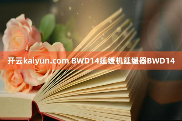 开云kaiyun.com BWD14延缓机延缓器BWD14