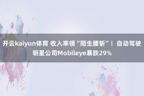 开云kaiyun体育 收入率领“陌生腰斩”！自动驾驶明星公司Mobileye暴跌29%