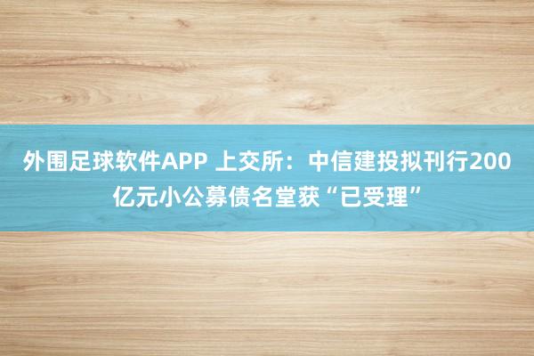 外围足球软件APP 上交所：中信建投拟刊行200亿元小公募债名堂获“已受理”