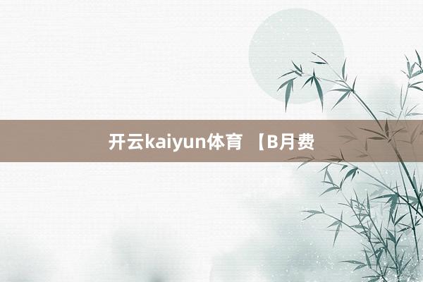 开云kaiyun体育 【B月费