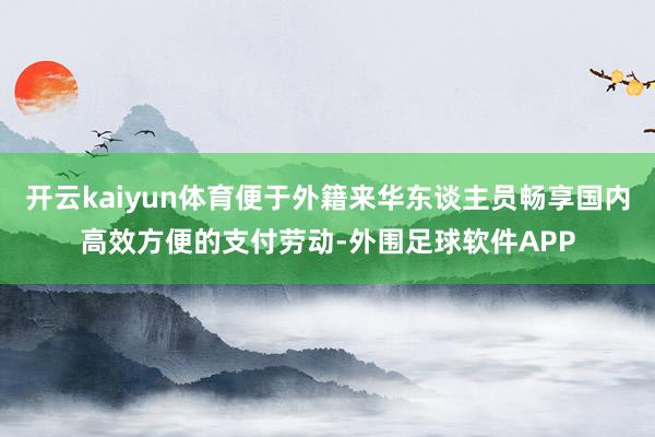 开云kaiyun体育便于外籍来华东谈主员畅享国内高效方便的支付劳动-外围足球软件APP