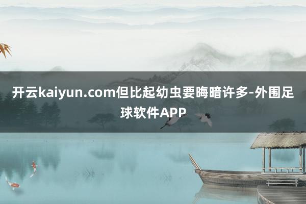 开云kaiyun.com但比起幼虫要晦暗许多-外围足球软件APP