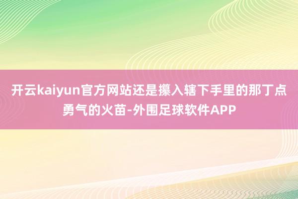 开云kaiyun官方网站还是攥入辖下手里的那丁点勇气的火苗-外围足球软件APP