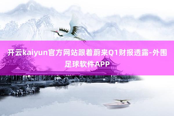 开云kaiyun官方网站跟着蔚来Q1财报透露-外围足球软件APP