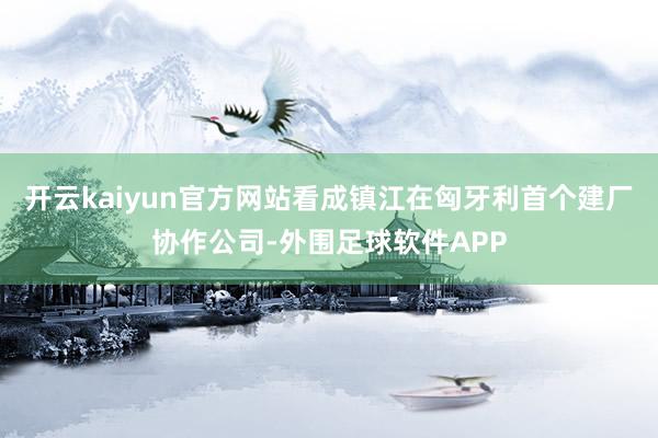 开云kaiyun官方网站看成镇江在匈牙利首个建厂协作公司-外围足球软件APP