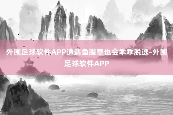 外围足球软件APP遭遇鱼腥草也会乖乖脱逃-外围足球软件APP