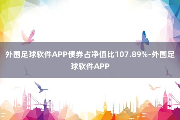 外围足球软件APP债券占净值比107.89%-外围足球软件APP