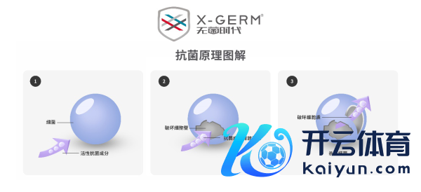 各大品牌皆在用的抗菌技巧X-GERM，到底是非在那里？