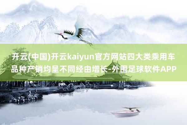 开云(中国)开云kaiyun官方网站四大类乘用车品种产销均呈不同经由增长-外围足球软件APP