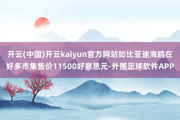 开云(中国)开云kaiyun官方网站如比亚迪海鸥在好多市集售价11500好意思元-外围足球软件APP