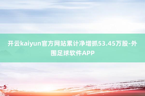 开云kaiyun官方网站累计净增抓53.45万股-外围足球软件APP