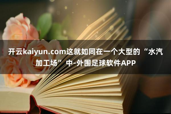 开云kaiyun.com这就如同在一个大型的 “水汽加工场” 中-外围足球软件APP