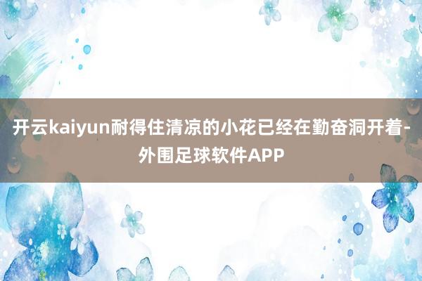 开云kaiyun耐得住清凉的小花已经在勤奋洞开着-外围足球软件APP