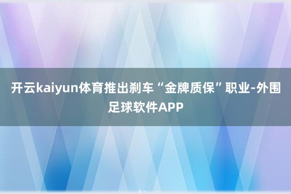 开云kaiyun体育推出刹车“金牌质保”职业-外围足球软件APP