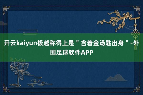 开云kaiyun极越称得上是＂含着金汤匙出身＂-外围足球软件APP