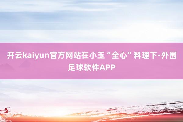 开云kaiyun官方网站在小玉“全心”料理下-外围足球软件APP