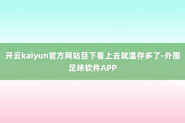 开云kaiyun官方网站目下看上去就温存多了-外围足球软件APP