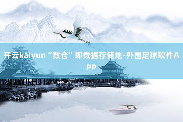 开云kaiyun“数仓”即数据存储地-外围足球软件APP