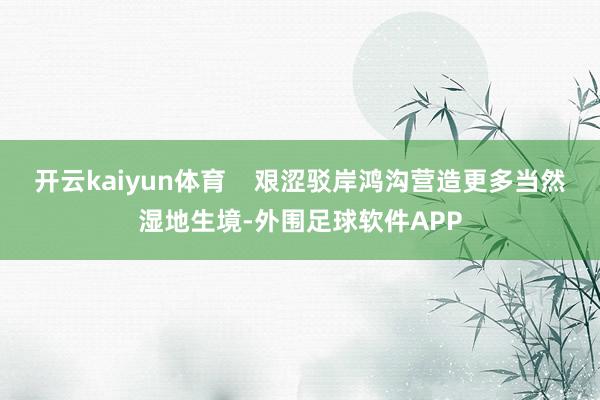 开云kaiyun体育    艰涩驳岸鸿沟营造更多当然湿地生境-外围足球软件APP