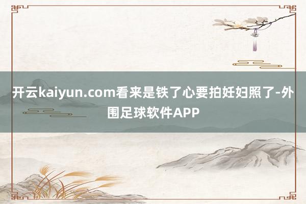 开云kaiyun.com看来是铁了心要拍妊妇照了-外围足球软件APP