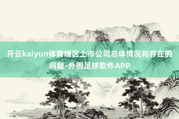 开云kaiyun体育辖区上市公司总体情况和存在的问题-外围足球软件APP