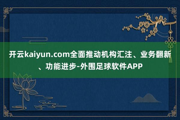 开云kaiyun.com全面推动机构汇注、业务翻新、功能进步-外围足球软件APP