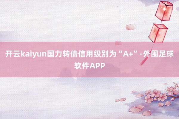 开云kaiyun国力转债信用级别为“A+”-外围足球软件APP