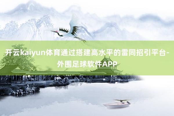 开云kaiyun体育通过搭建高水平的雷同招引平台-外围足球软件APP