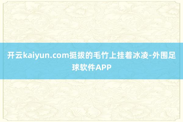 开云kaiyun.com挺拔的毛竹上挂着冰凌-外围足球软件APP