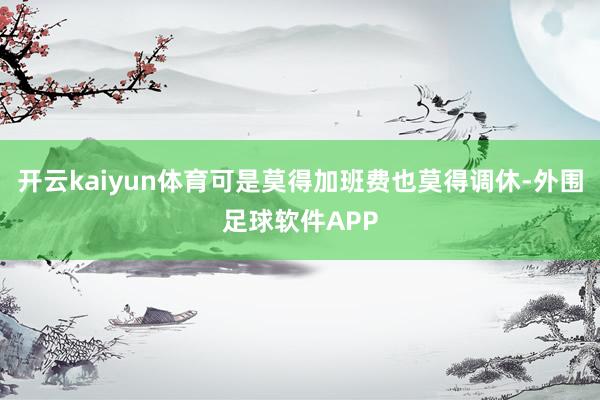 开云kaiyun体育可是莫得加班费也莫得调休-外围足球软件APP