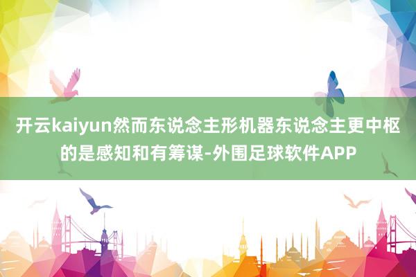 开云kaiyun然而东说念主形机器东说念主更中枢的是感知和有筹谋-外围足球软件APP