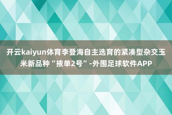 开云kaiyun体育李登海自主选育的紧凑型杂交玉米新品种“掖单2号”-外围足球软件APP